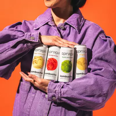 Spraga kombucha flavours