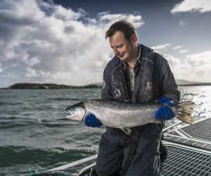 A salmon on display in Loch Duart