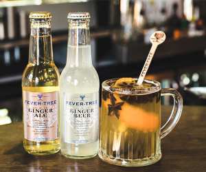 fever-tree-hot-ginger-punch_widget