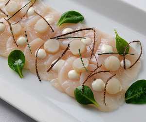 carpaccio-of-scallops_widget