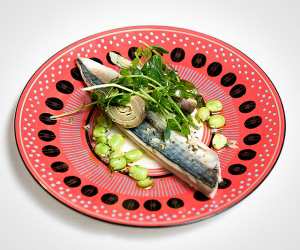 Pescatori's recipe for curing mackerel