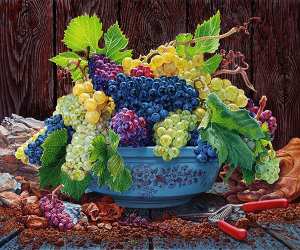 Eric Wert