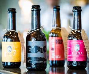 Tozi beers