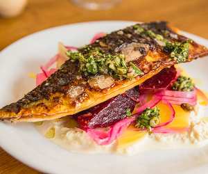 Mackerel at Oldroyd