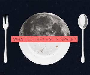 Labely's space food infographic widget
