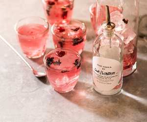 Our/London vodka's recipe for hibiscus collins