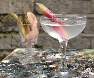 Jensen Gin's Spring Onion Gibson