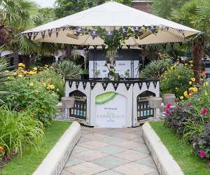 Telegraph Gin Experience