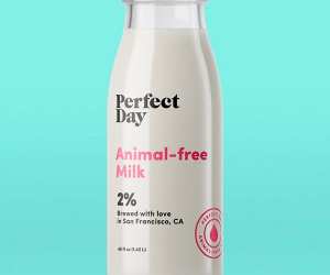 Animal-free milk by Perfect Day
