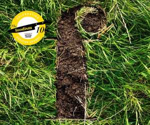 The 2018 Foodism 100 category winners, in full