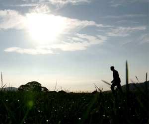 Butlers' family farm