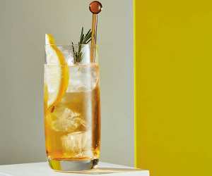 Port and tonic; photograph by Sarah Hogan