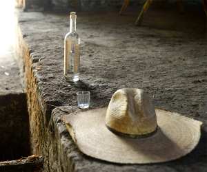 Mezcal in Oaxaca, Mexico. Photograph by Anna Bruce