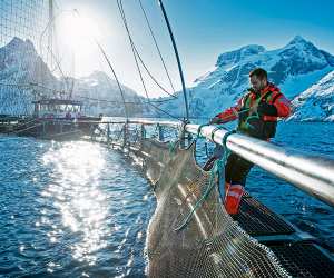 Seafood from Norway