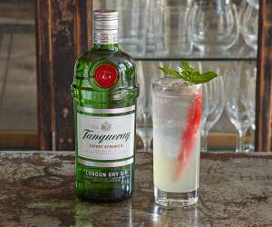 Tanqueray Gin's Mexican Collins
