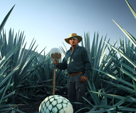 An agave farmer, or jimador, at Patrón in Jalisco, Mexico