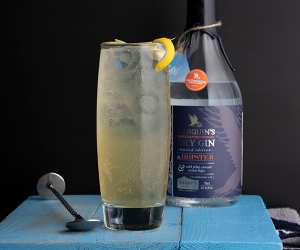 Make Ed Hughes’ The Hopster Collins