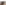 spices-spandex_widget