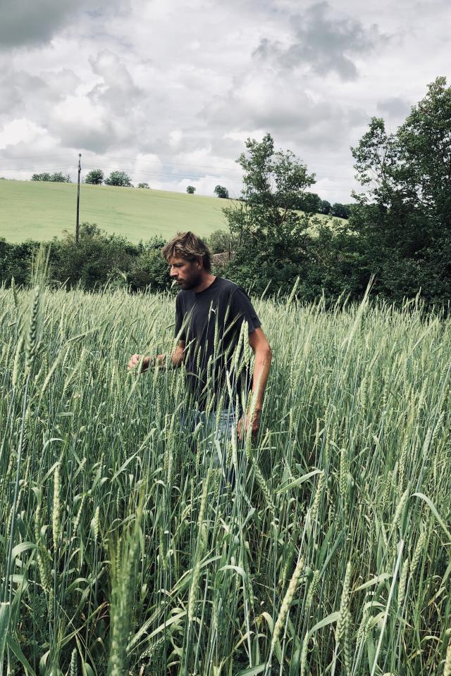 Summer in London 2021 Wildfarmed Grain's Andy Cato Summer in London 2021 Wildfarmed Grain's Andy Cato