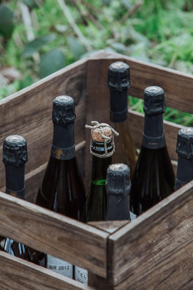 Christmas food and drink gifts | Champagne Telmont bottles