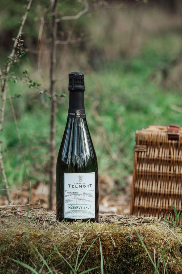 Christmas food and drink gifts | Champagne Telmont Reserve Brut