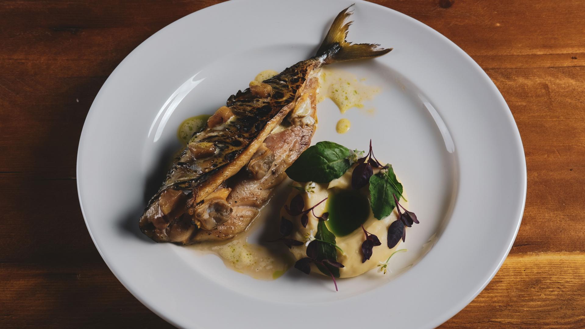 New London openings: The Farrier, Camden New London openings: The Farrier, Camden