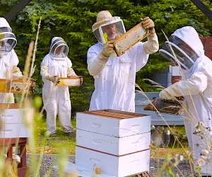 James Hamill at the Hive Honey Shop