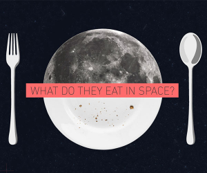 Labely's space food infographic widget