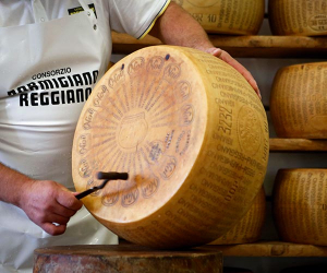Banging the drum: getting to grips with Parma's culinary traditions