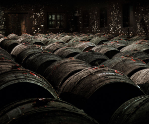 Casks ageing in the cellar at single-estate cognac house Frapin
