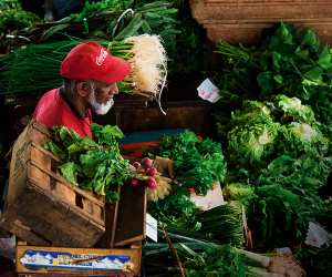 Mauritius; Photograph by Mike Robinson / Alamy