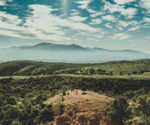 The Domaine de Querubi estate in France