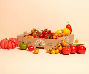 Iow Tomatoes