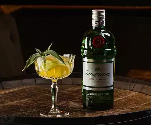 Camelia Spritz made with tanqueray