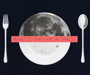 Labely's space food infographic widget