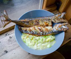 L.C.'s mackerel