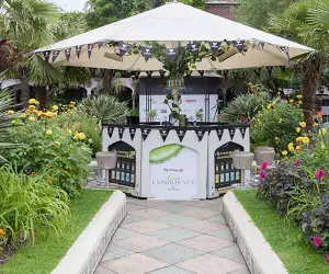 Telegraph Gin Experience