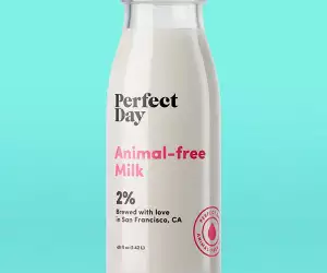 Animal-free milk by Perfect Day