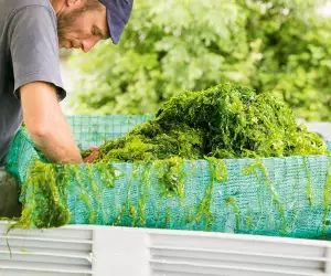 Secrets from the deep: could seaweed be today's solution to tomorrow's food scarcity?