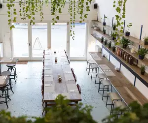 Lahpet, London Fields: restaurant review