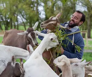 James Whetlor created Cabrito in 2012 to offer an alternative to euthanising billies