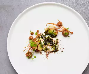 Salt-baked celeriac with enoki mushroom and whey foam at Roganic