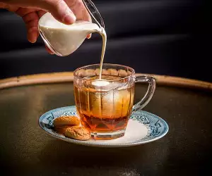 Little Bat, Islington; Photography by Charlie McKay