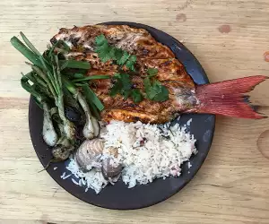 Grilled mullet at Criollo, Oaxaca