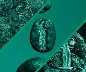 The Foodist: sustainability special