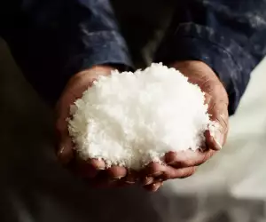 Freshly harvested Maldon salt