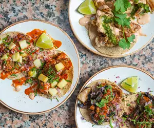 Goat tacos at Temper