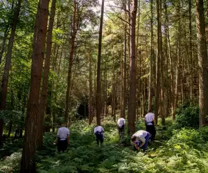 Foraging at Grantley Hall. By Tom Sykes