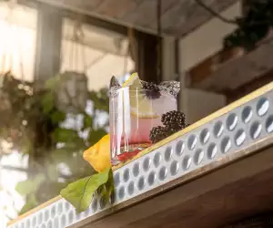 Brockmans: a gin like no other