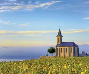 The church of Saint-Laurent-d’Oingt presiding over the vineyards